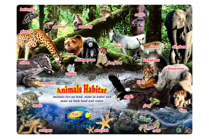 Animals Habitat - Progressive Scientific Sdn. Bhd.
